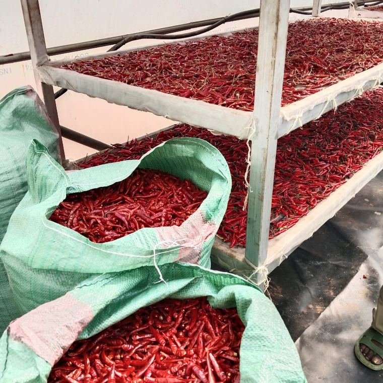 Drying and bagging running side by side