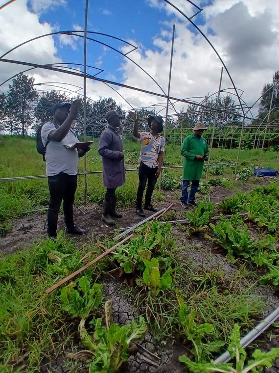 A field day walk-through on a demonstration plot
