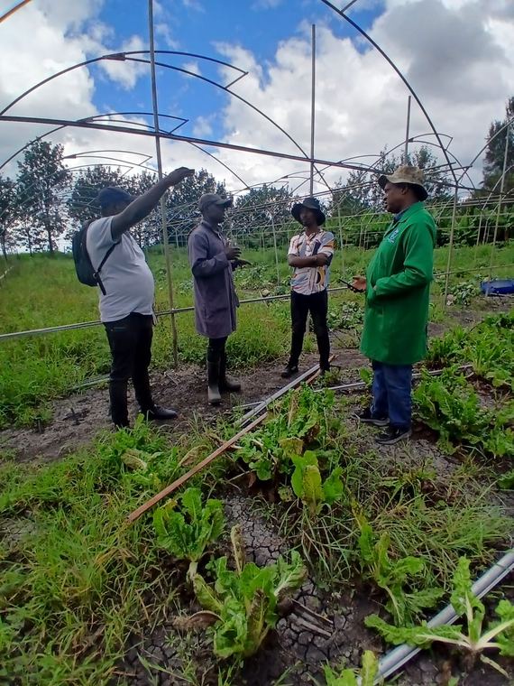 Training delivered on a demonstration plot