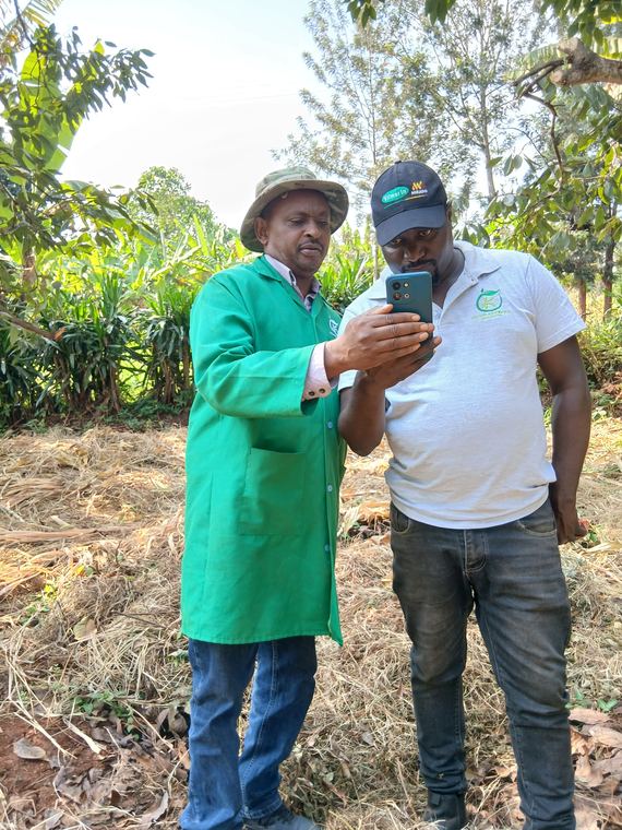 Recording field observations on a mobile device