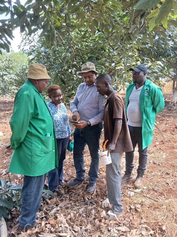 An on-farm briefing with the client team