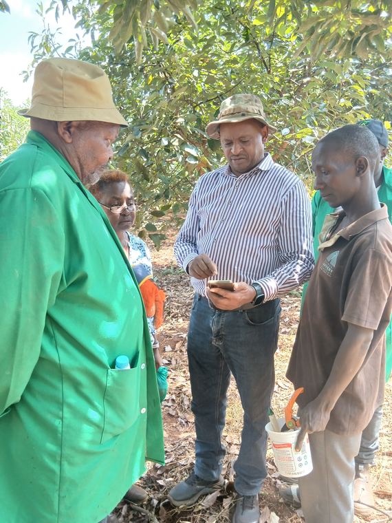 Mentorship in an established orchard